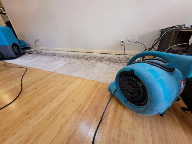 Professional Water Damage Repair technician working in Blum, TX